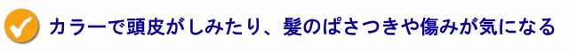 カラーで頭皮がしみたり、髪がぱさついたり傷んだりするのが気になる。